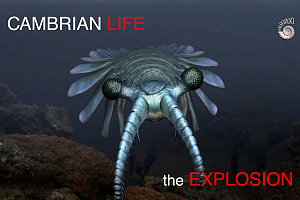 Cambrian Life the Explosion